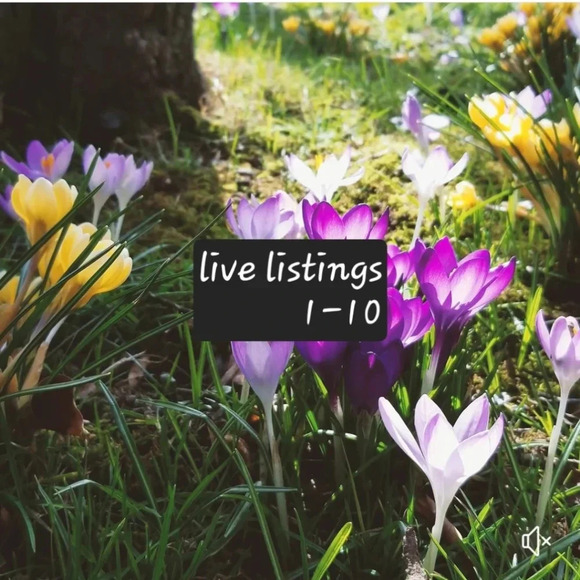 Live listing unlisted items - Picture 1 of 1